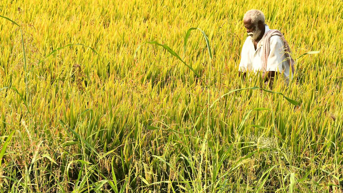 Farmers’ Issues Fail To Make Poll Plank Yet Again In Andhra Pradesh ...